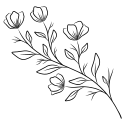 blume